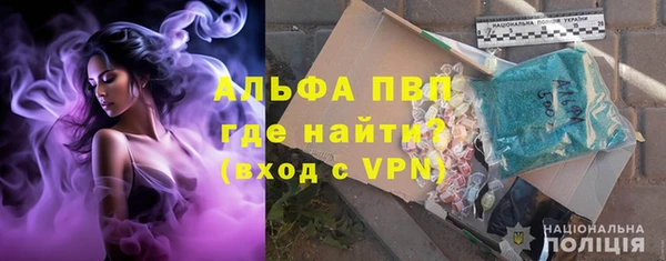 СК Белокуриха