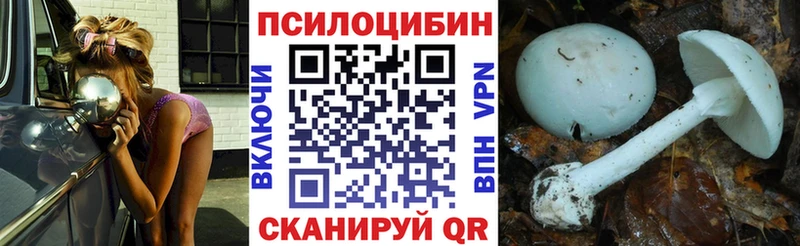 цена наркотик  Вытегра  Псилоцибиновые грибы GOLDEN TEACHER 